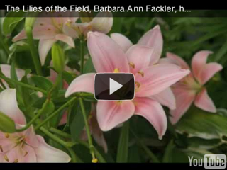 harp music video: lilies of the field