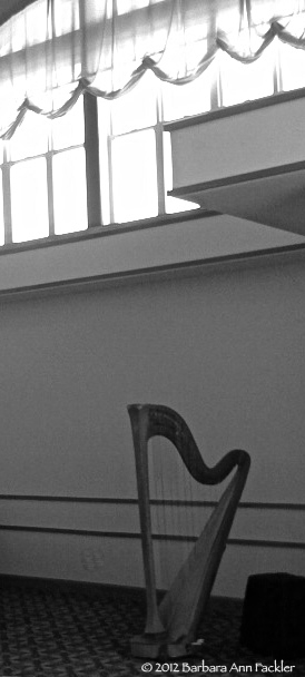 harp maintenance tips